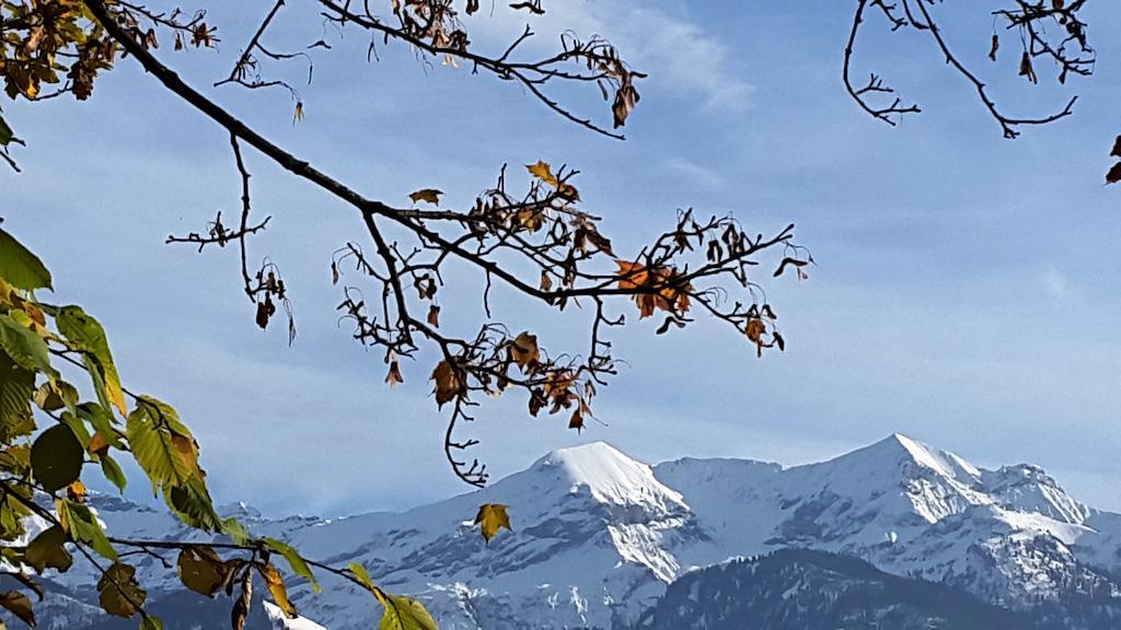 Oase Zum Sein Spiez Exterior foto
